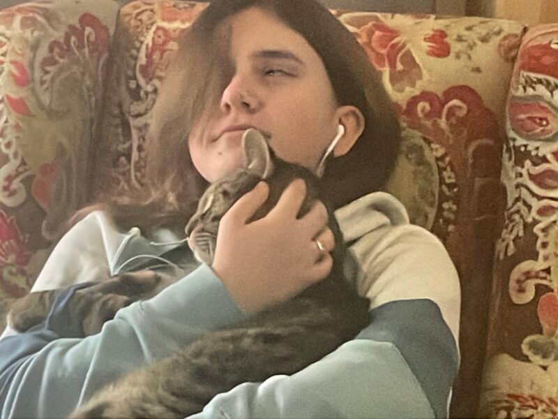 Mobile Test Post